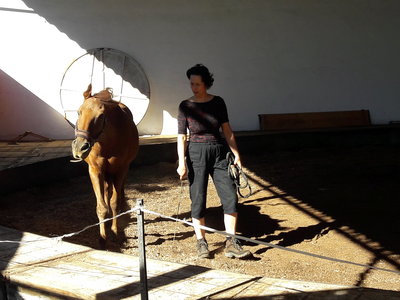 les femmes et les hommes qui murmuraient  aux oreilles des chevaux, 20180923_105954