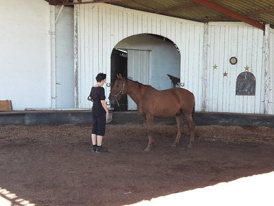 les femmes et les hommes qui murmuraient  aux oreilles des chevaux, 20180923_110113