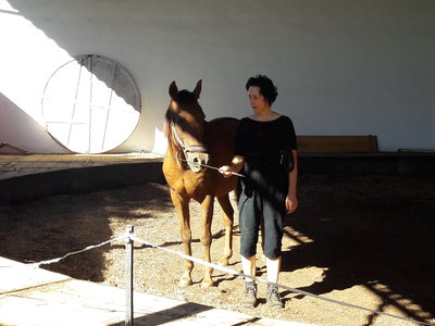 les femmes et les hommes qui murmuraient  aux oreilles des chevaux, 20180923_110300