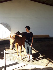 les femmes et les hommes qui murmuraient  aux oreilles des chevaux, 20180923_110317