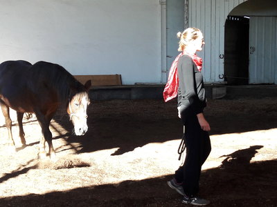 les femmes et les hommes qui murmuraient  aux oreilles des chevaux, 20180923_101336