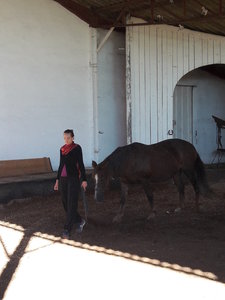 les femmes et les hommes qui murmuraient  aux oreilles des chevaux, 20180923_101405