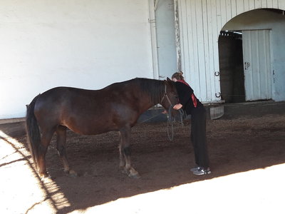 les femmes et les hommes qui murmuraient  aux oreilles des chevaux, 20180923_102109