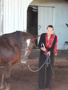 les femmes et les hommes qui murmuraient  aux oreilles des chevaux, 20180923_102207