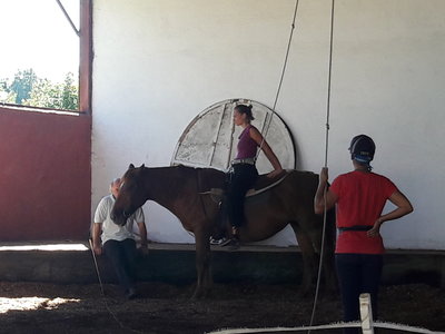 les femmes et les hommes qui murmuraient  aux oreilles des chevaux, 20180923_154232