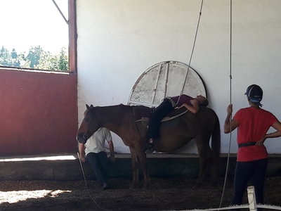 les femmes et les hommes qui murmuraient  aux oreilles des chevaux, 20180923_154323