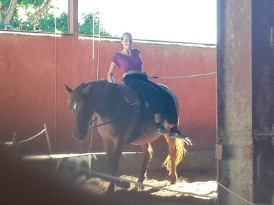 les femmes et les hommes qui murmuraient  aux oreilles des chevaux, 20180923_155138