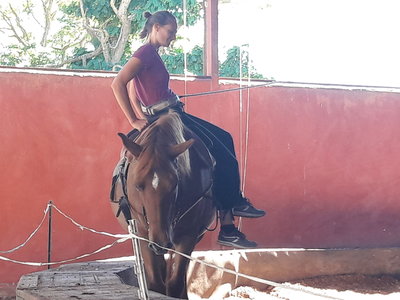 les femmes et les hommes qui murmuraient  aux oreilles des chevaux, 20180923_155141