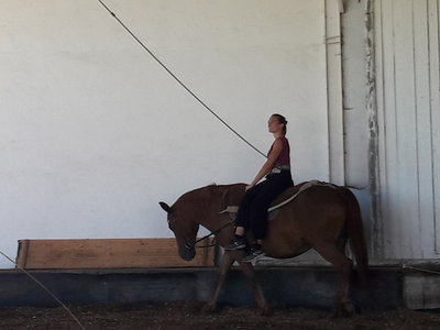 les femmes et les hommes qui murmuraient  aux oreilles des chevaux, 20180923_155214