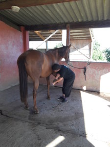 les femmes et les hommes qui murmuraient  aux oreilles des chevaux, 20180923_103632