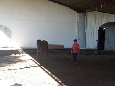 les femmes et les hommes qui murmuraient  aux oreilles des chevaux, 20180923_111556