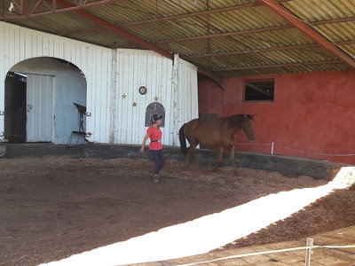 les femmes et les hommes qui murmuraient  aux oreilles des chevaux, 20180923_111756