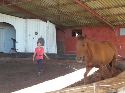 les femmes et les hommes qui murmuraient  aux oreilles des chevaux, 20180923_111759