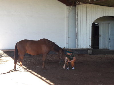 les femmes et les hommes qui murmuraient  aux oreilles des chevaux, 20180923_110417