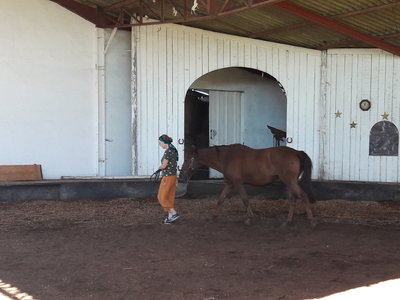 les femmes et les hommes qui murmuraient  aux oreilles des chevaux, 20180923_110430