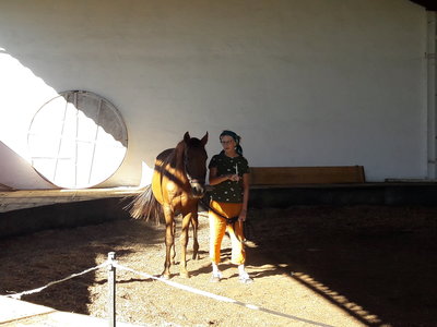les femmes et les hommes qui murmuraient  aux oreilles des chevaux, 20180923_110439