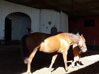les femmes et les hommes qui murmuraient  aux oreilles des chevaux, 20180923_110452