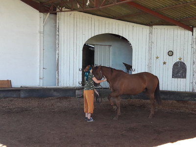 les femmes et les hommes qui murmuraient  aux oreilles des chevaux, 20180923_110526