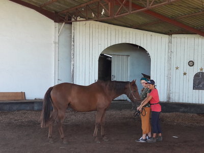 les femmes et les hommes qui murmuraient  aux oreilles des chevaux, 20180923_111149