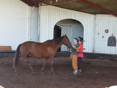 les femmes et les hommes qui murmuraient  aux oreilles des chevaux, 20180923_111211