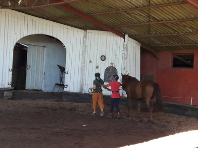 les femmes et les hommes qui murmuraient  aux oreilles des chevaux, 20180923_111318
