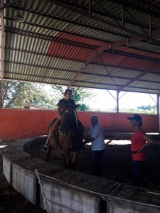 les femmes et les hommes qui murmuraient  aux oreilles des chevaux, 20180923_152042