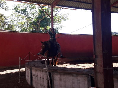 les femmes et les hommes qui murmuraient  aux oreilles des chevaux, 20180923_152413