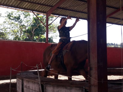 les femmes et les hommes qui murmuraient  aux oreilles des chevaux, 20180923_152417
