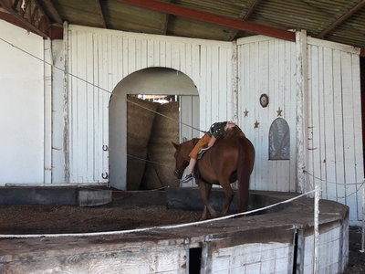 les femmes et les hommes qui murmuraient  aux oreilles des chevaux, 20180923_152748