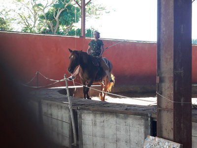 les femmes et les hommes qui murmuraient  aux oreilles des chevaux, 20180923_152851