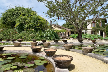 @fmbdx@piaille.fr 2018, Latour-Marliac, Le Temple sur Lot