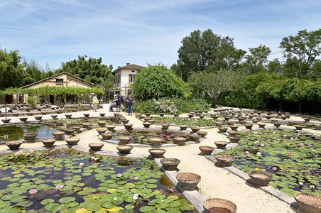 @fmbdx@piaille.fr 2018, Latour-Marliac, Le Temple sur Lot
