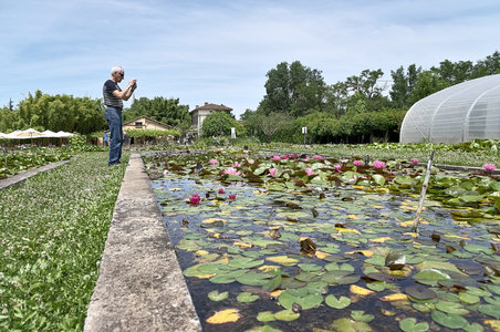 @fmbdx@piaille.fr 2018, Latour-Marliac, Le Temple sur Lot