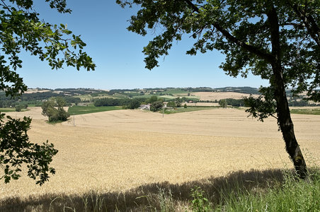 @fmbdx@piaille.fr 2018, Castelmoron sur Lot