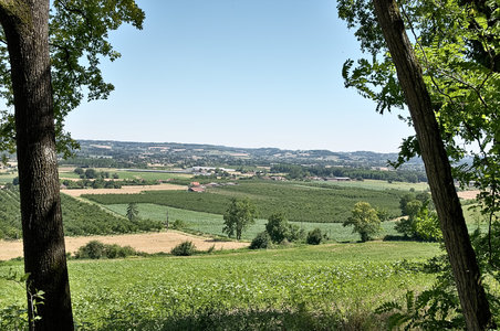 @fmbdx@piaille.fr 2018, Castelmoron sur Lot