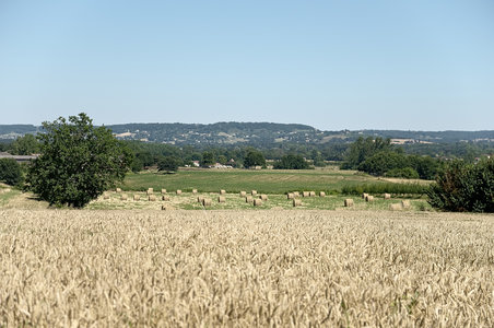 @fmbdx@piaille.fr 2018, Castelmoron sur Lot