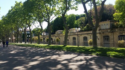 Printemps 2017, 20170419_161944
