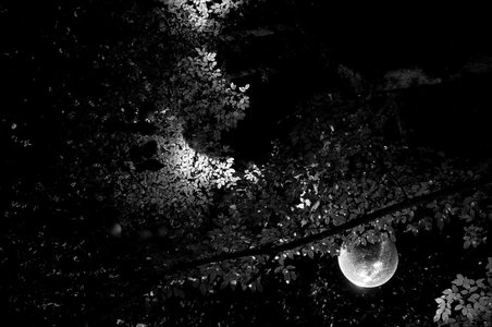 La nuit verte 2018, _K5_S3_5495