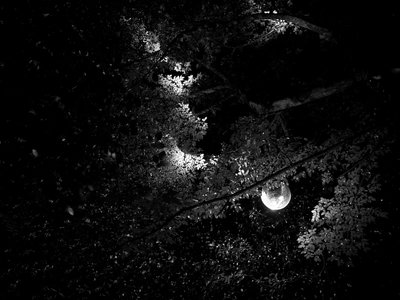La nuit verte 2018, _K5_S3_5488