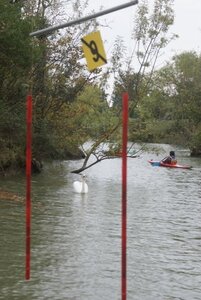Castors Juniors_14oct2018, CastorJunior_24oct2018_0132