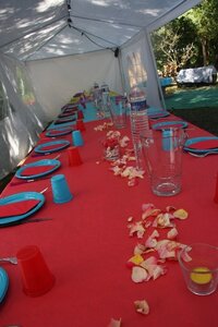 Mariage, IMG_3285
