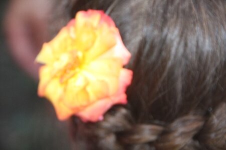 Mariage, IMG_3308