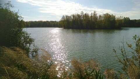Le Marais de Chambly, IMG_20181014_113934