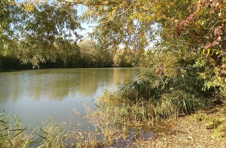 Le Marais de Chambly, IMG_20181014_114825