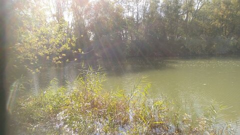 Le Marais de Chambly, IMG_20181014_114828