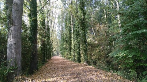 Le Marais de Chambly, IMG_20181018_150536