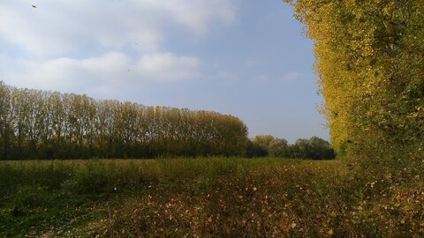 Le Marais de Chambly, IMG_20181018_150551