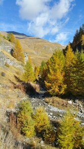 Malrif 20/10 Foréant 21/10/2018, 20181020_103751