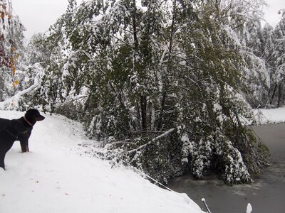 moromble sous la neige, IMGP0118