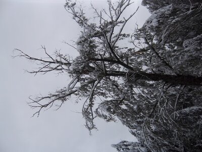 moromble sous la neige, IMGP0126